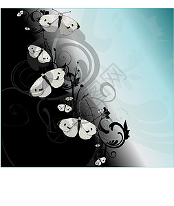 黑色和蓝色梯度上的白蝴蝶背景图片