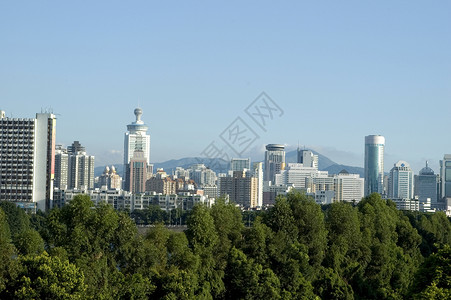 深圳     现代中国城市建筑建筑学中心摩天大楼城市化树木背景图片
