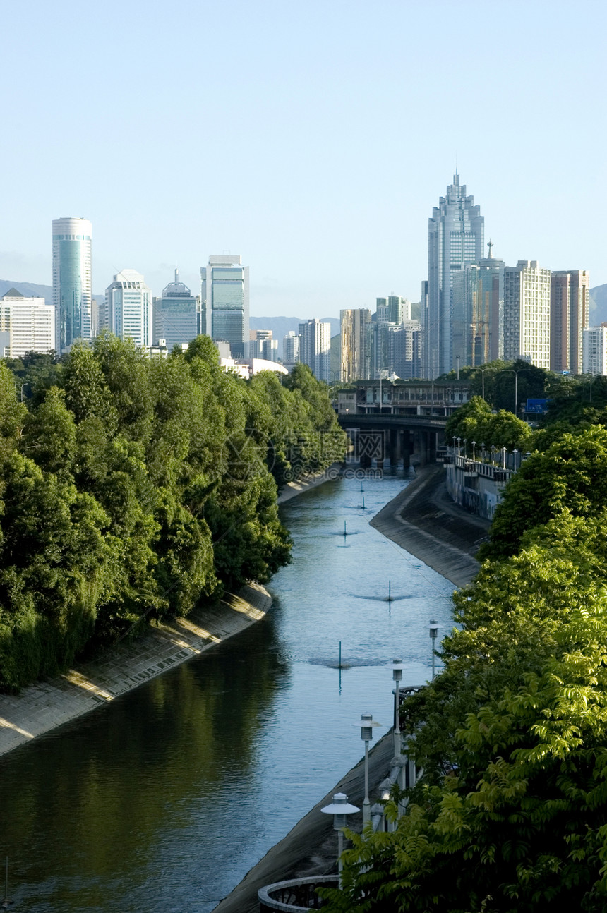 深圳     现代中国城市树木中心摩天大楼城市化建筑学建筑图片