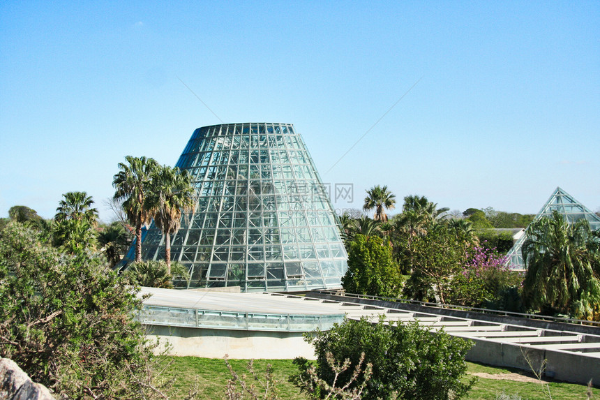 温室蓝色树木绿色花朵苗圃园艺花园农业金字塔建筑学图片