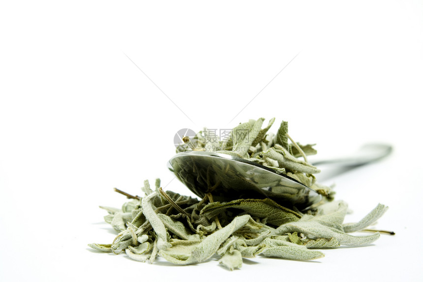 圣红茶茶健康白色宏观草本勺子草本植物植物丹参图片