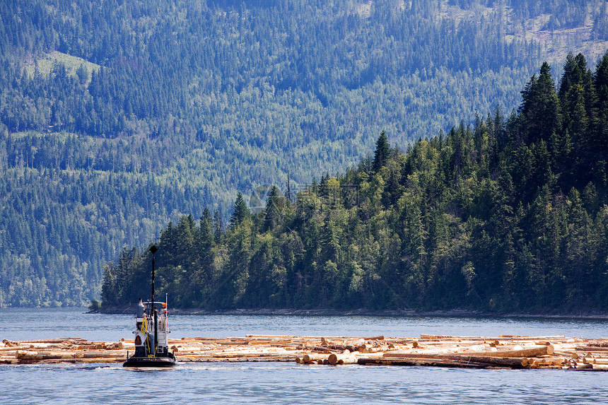 沿海伐木木头记录漂浮海滩拖船日志森林精梳机环境营林图片