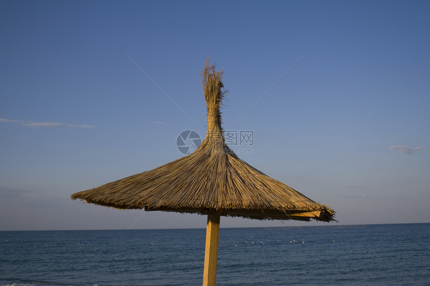 单毛带的雨伞旅游海洋遮阳棚享受情调闲暇支撑海岸蓝色芦苇图片