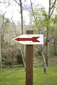 木头箭头左向箭头符号出口公园入口森林木头叶子人行道花园小路背景