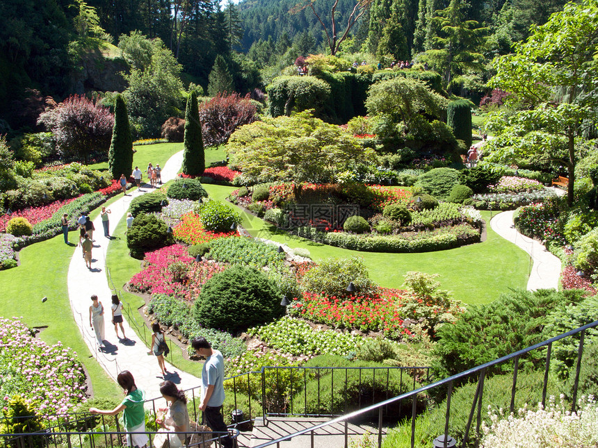 不列颠哥伦比亚省维多利亚州布查特花园照片反射风景植物冥想地标旅行美丽花园花朵图片