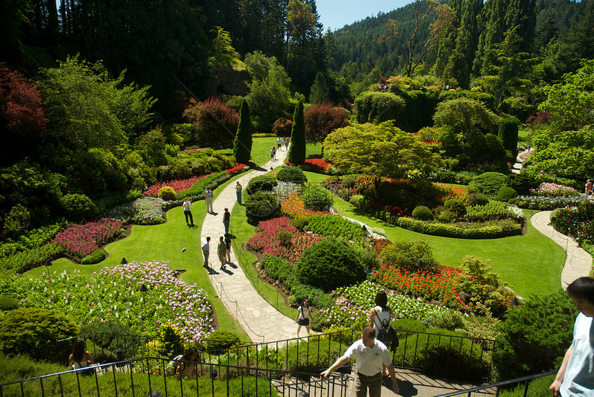 不列颠哥伦比亚省维多利亚州布查特花园美丽花朵游客树木旅行公园花园反射风景冥想图片