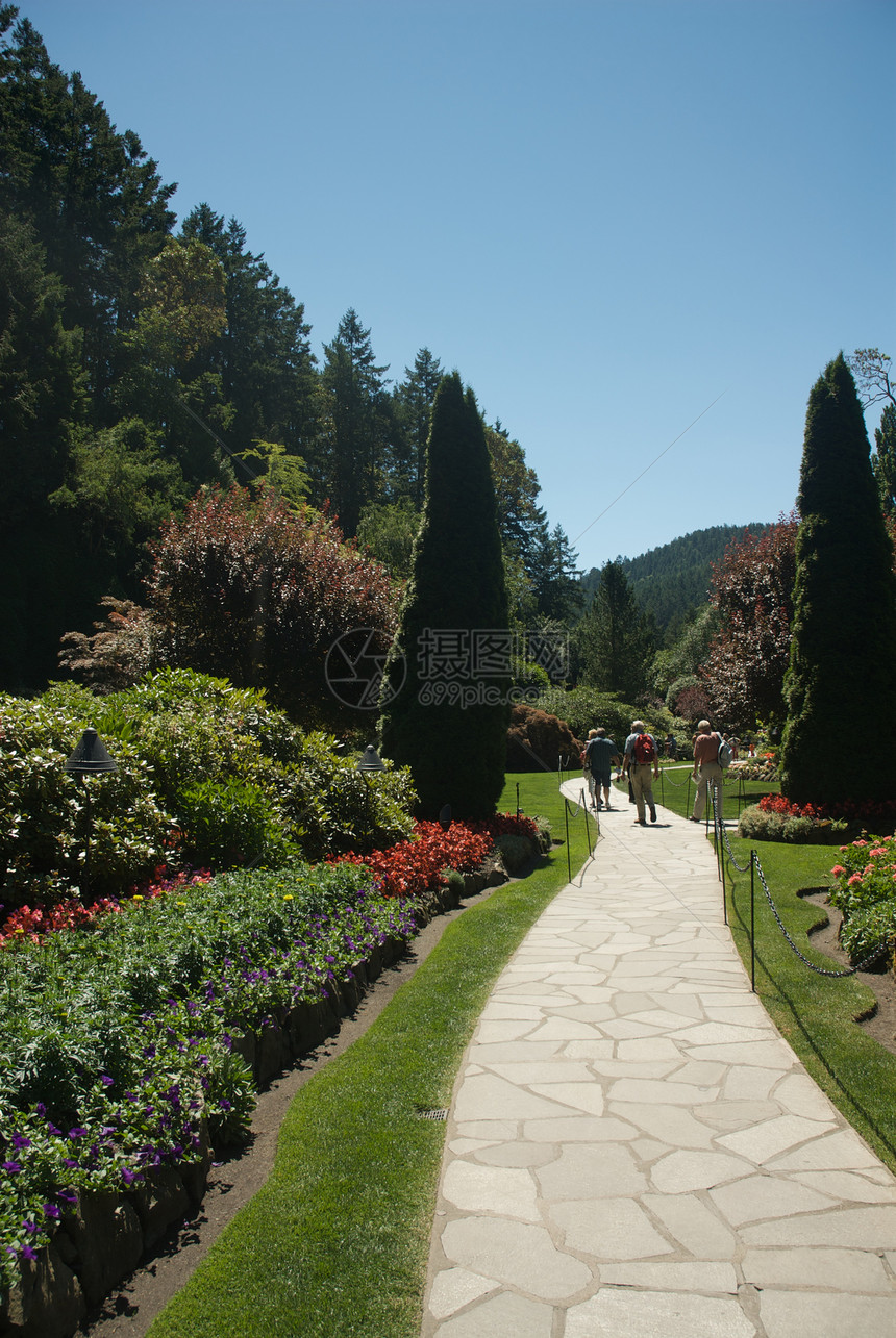 不列颠哥伦比亚省维多利亚州布查特花园地标照片风景冥想美丽花朵植物旅行公园花园图片