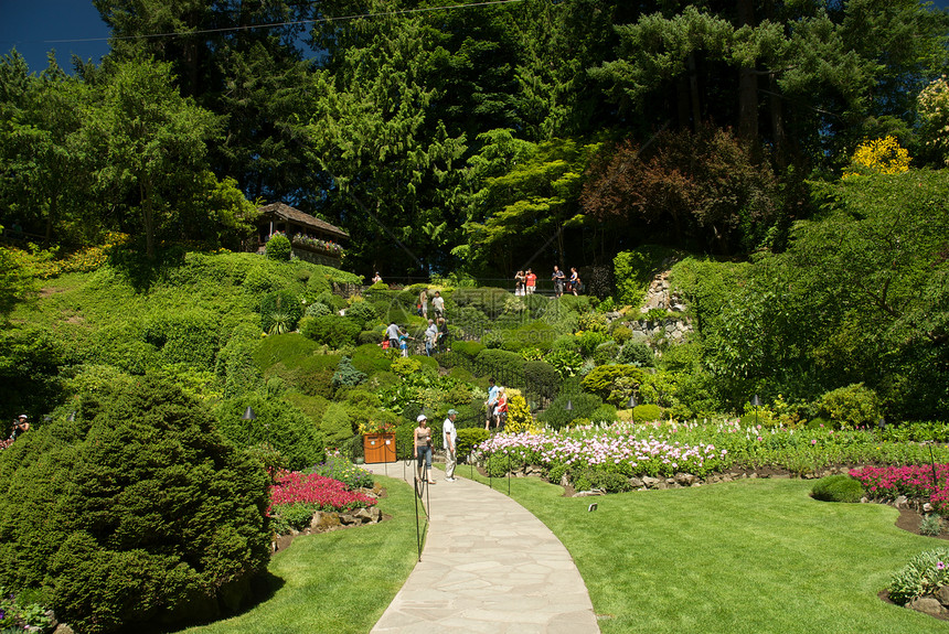 不列颠哥伦比亚省维多利亚州布查特花园游客风景公园冥想花朵地标反射树木旅行美丽图片