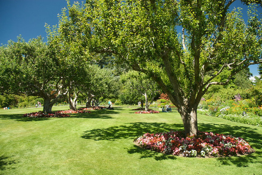 不列颠哥伦比亚省维多利亚州布查特花园旅行地标冥想游客公园花朵风景花园美丽反射图片