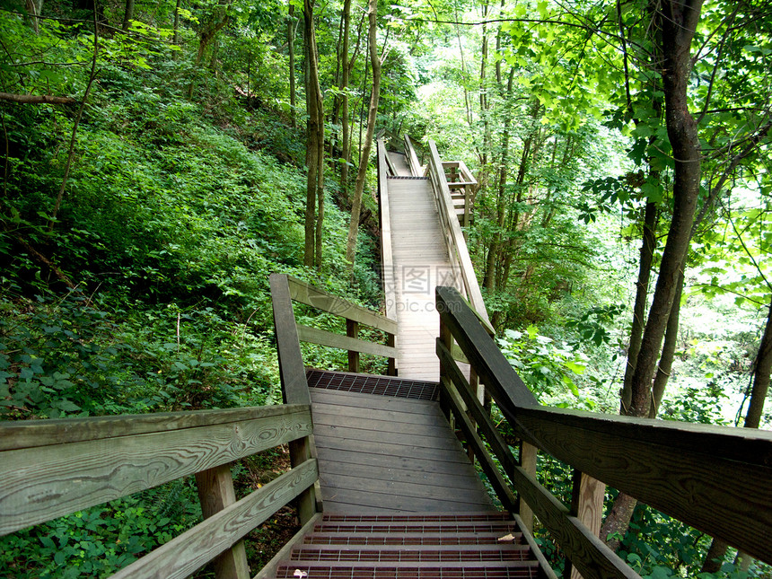 Amicaola瀑布山丘旅游岩石山脉水域公园甲板树木溪流远足远足者图片