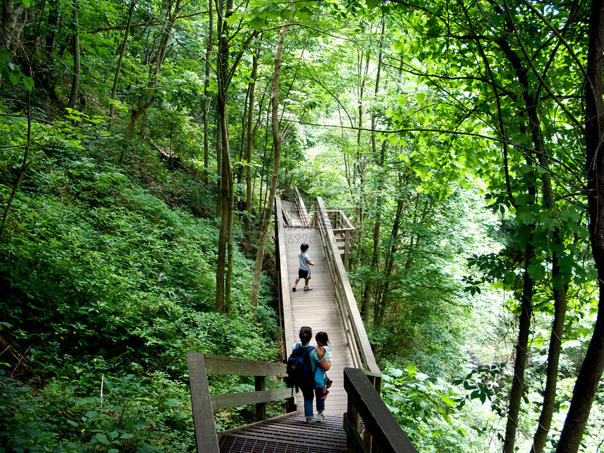 Amicaola瀑布山丘岩石照片溪流旅游甲板树木公园水域山脉远足图片