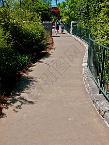 萝小卜亚特兰大植物园正方形探索萝西植物园草地公园旅游太阳植物花园背景