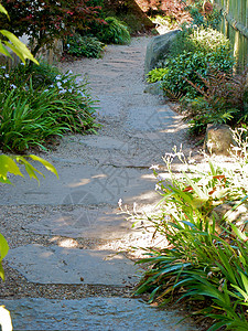 萝小卜亚特兰大植物园萝西温室生态植物花园公园太阳草地旅游探索背景