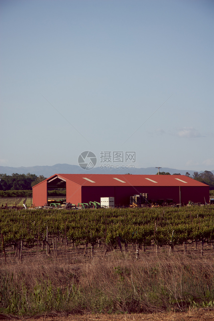 美国加利福尼亚州索诺马山谷摄影酿酒葡萄园旅游风景树叶藤蔓酒厂目的地图片