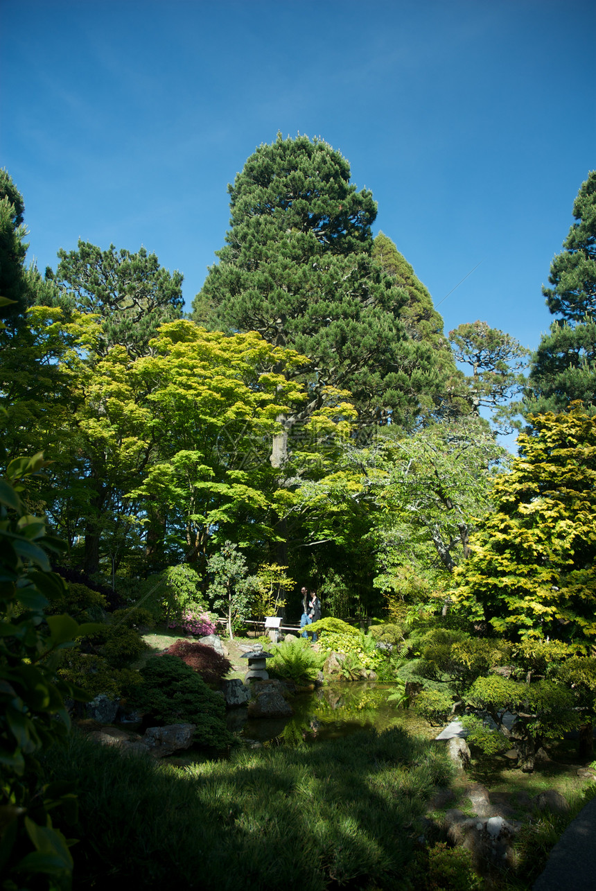 美国 加利福尼亚 旧金山 金门公园 日式茶园宗教旅游花园文化城市结构目的地寺庙庭园特色图片