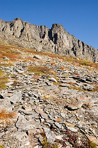 挪威山详细山区资料树木顶峰天空石头荒野岩石生态草地高清图片
