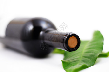 葡萄酒和复制空间派对背景白色叶子玻璃树叶饮料酒精酒吧瓶子背景图片