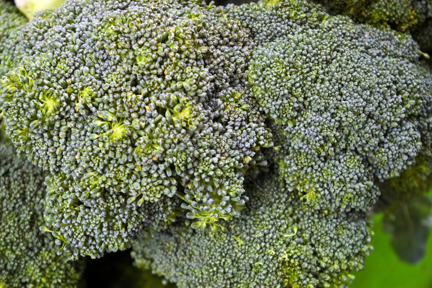 花花头市场蔬菜花园生产绿色食物农贸市场种植图片