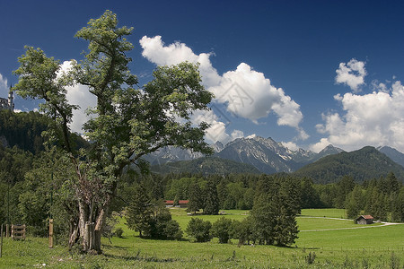 林登贝格全景大山天空山脉远足绿色地景蓝色牧场森林背景