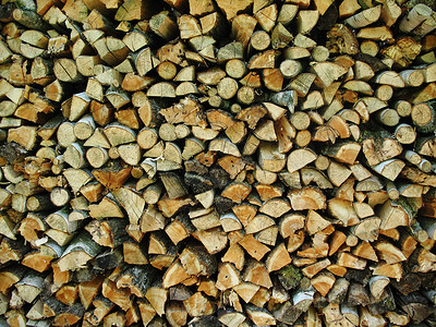 木柴背景公园环境材料森林棕色树干木材皮肤背景图片