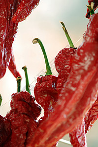 干红辣椒蔬菜香料寒冷胡椒背景图片