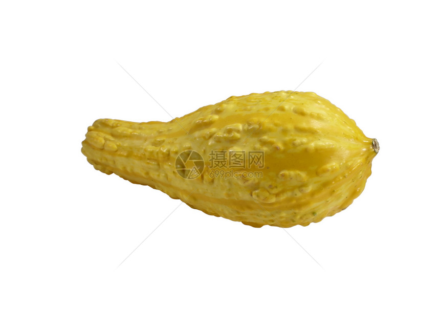 黄黄南瓜季节收成食物黄色图片