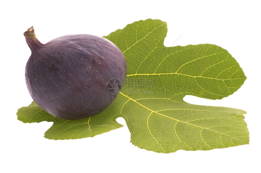 新鲜无花果泻药生产食物种子饮食树叶紫色烹饪营养水果图片