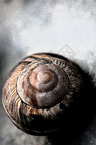 蜗牛屋房子背景图片