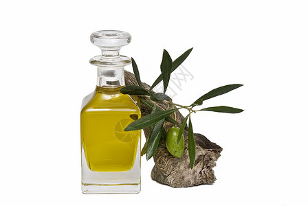 茁壮的橄榄树橄榄油和橄榄液体水晶烹饪营销库存广告树叶收成收获美食背景