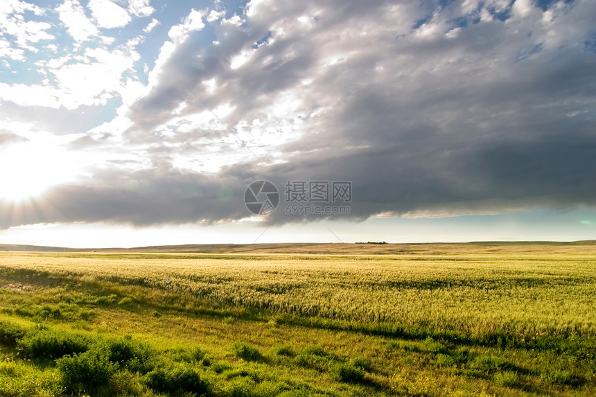 Prairie 天空景观农场地平线平原绿色国家乡村蓝色草原天气风景图片