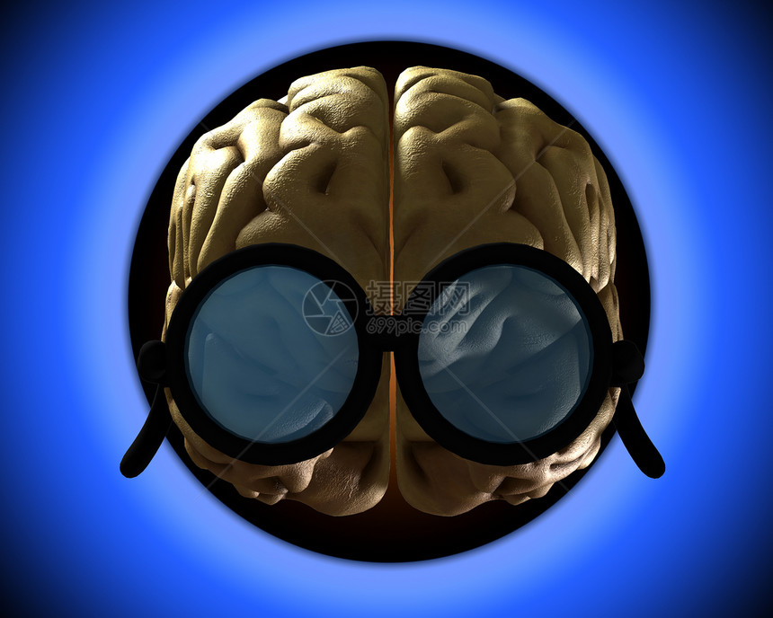 聪明大脑概念头脑保健丘脑脑力专注卫生生物学光学下丘脑图片