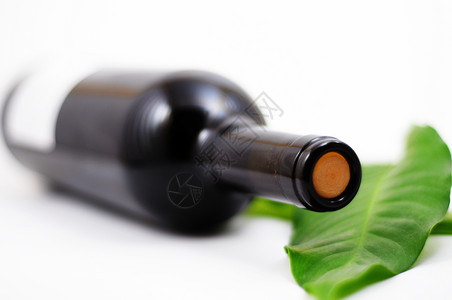 葡萄酒和复制空间餐厅酒精树叶白色背景酒吧派对瓶子玻璃绿色背景图片