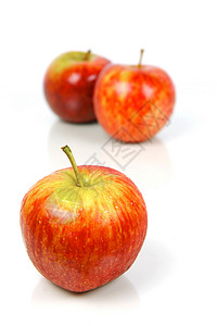 红苹果白色红色食物背景图片