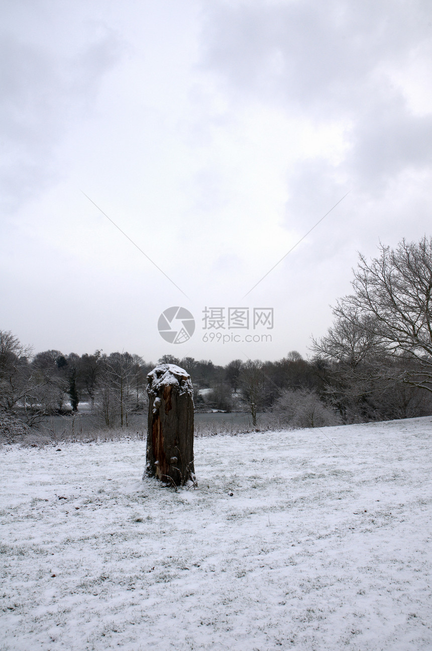 冬季公园曲目天气场地树桩树干天空风景场景冻结雪景图片