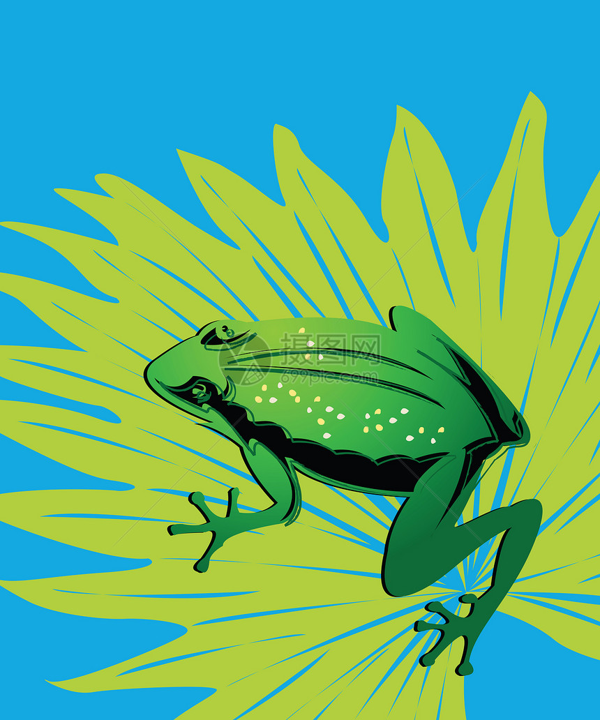 绿青蛙爬虫宠物动物精力栖息地回扣乐趣沼泽装饰品蟾蜍图片