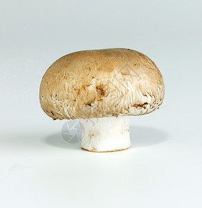 蘑菇板栗乡村真菌食物背景图片