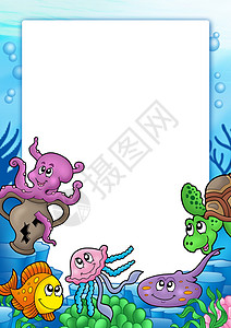 动物框架矢量图各种海洋动物的框架框架背景