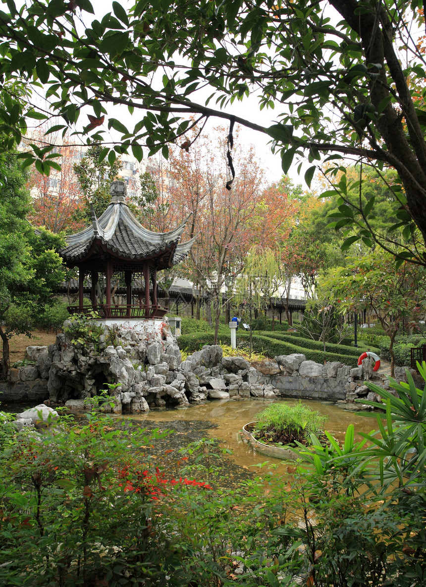 中华花园岩石房子池塘传统天空建筑花园旅行植物公园图片