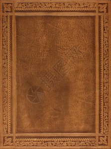 棕褐皮皮书封面背景图片