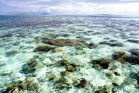 浅露海海峡浮潜蓝色反射地平线海岸天空珊瑚呼吸管情调背景图片