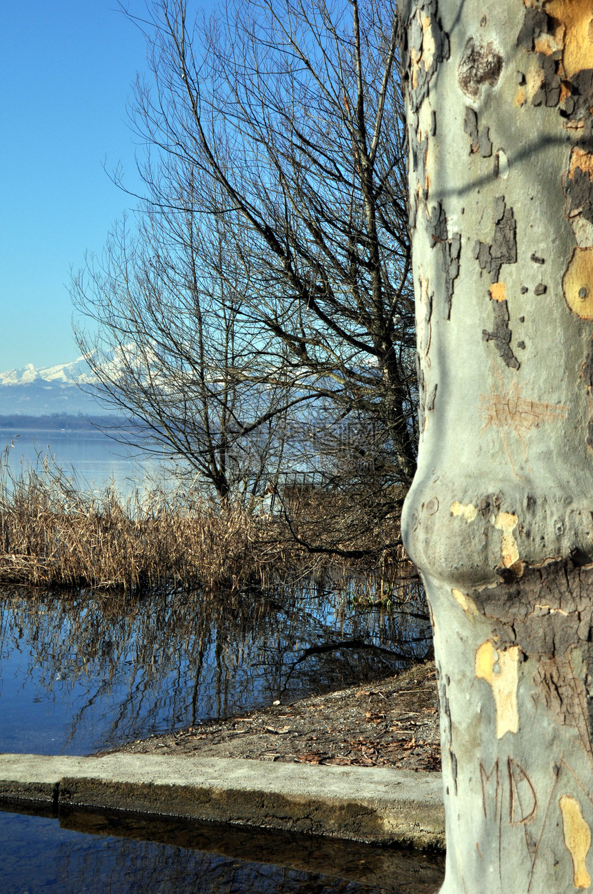 湖蔬菜天空植被树木全景蓝光山脉创新图片