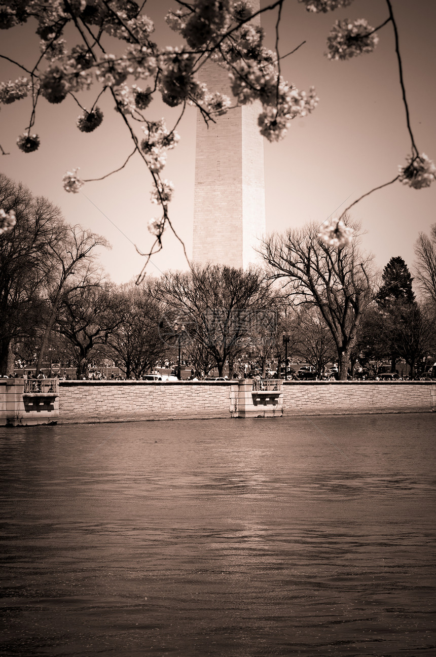华盛顿纪念碑风景石头方尖碑反射纪念馆地标纪念碑建筑水池图片