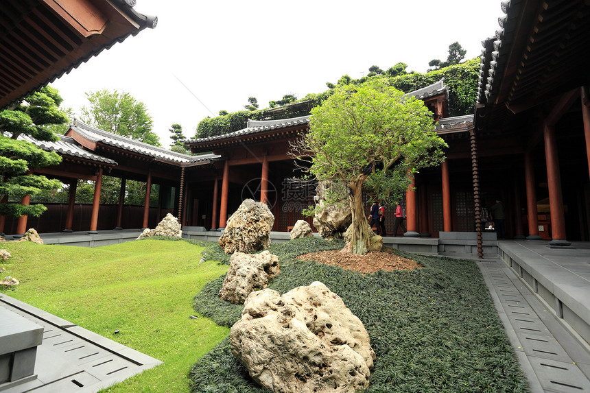 中华花园分支机构建筑生长植物寺庙艺术花园树叶文化树木图片