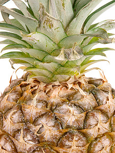 菠萝食物绿色水果热带健康营养背景图片
