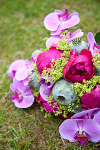多彩多彩的婚礼花束紫色粉色兰花花朵背景图片