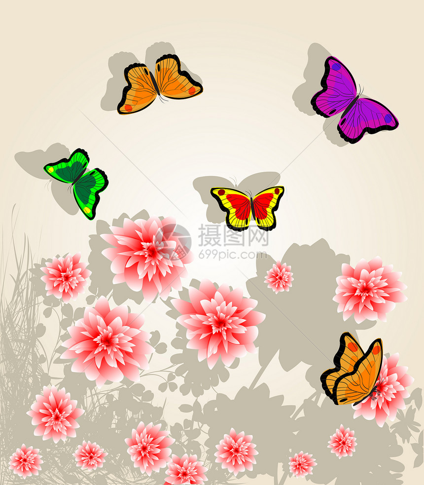 鲜花和蝴蝶插图卡片玫瑰红色艺术阴影图片