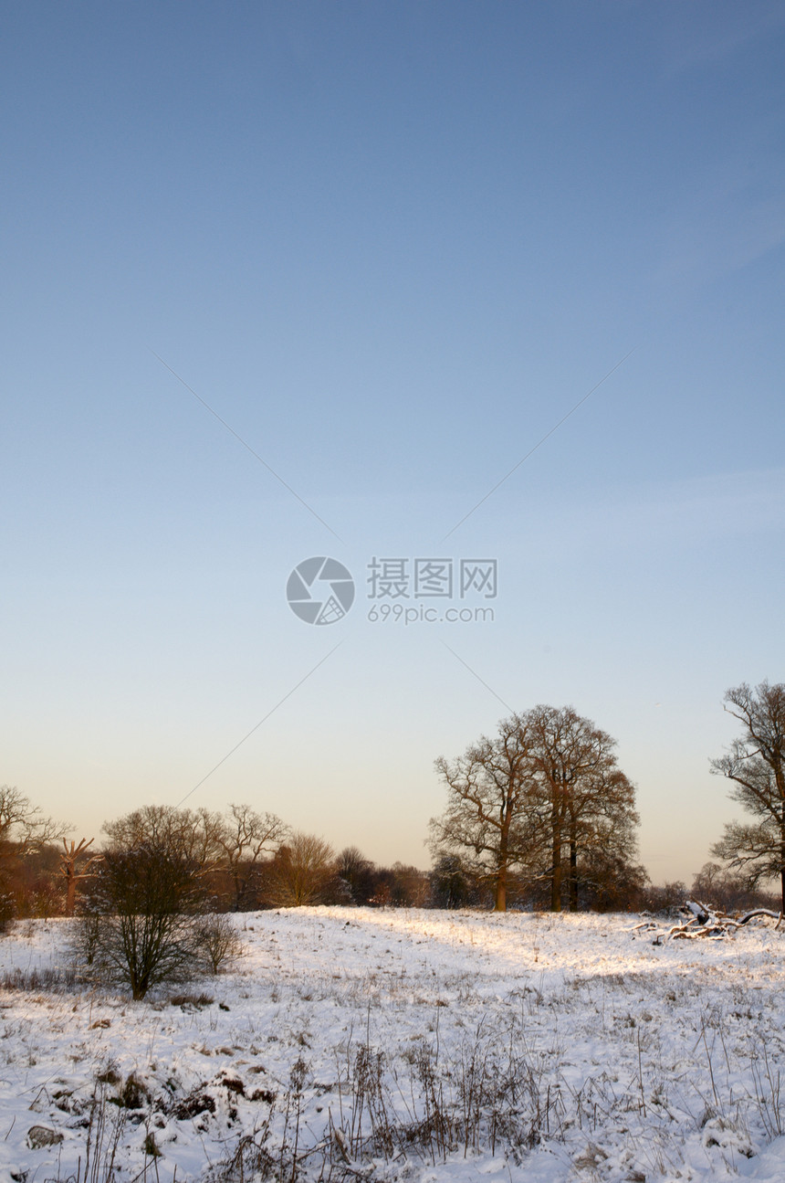 冬季公园季节天气国家曲目风景冻结天空场景树木小路图片