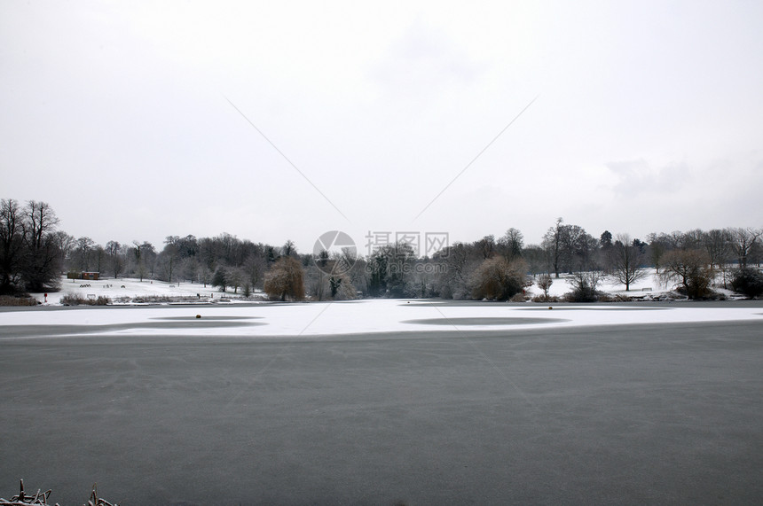 冬季湖国家树木冻结雪景降雪场景天气天空池塘风景图片