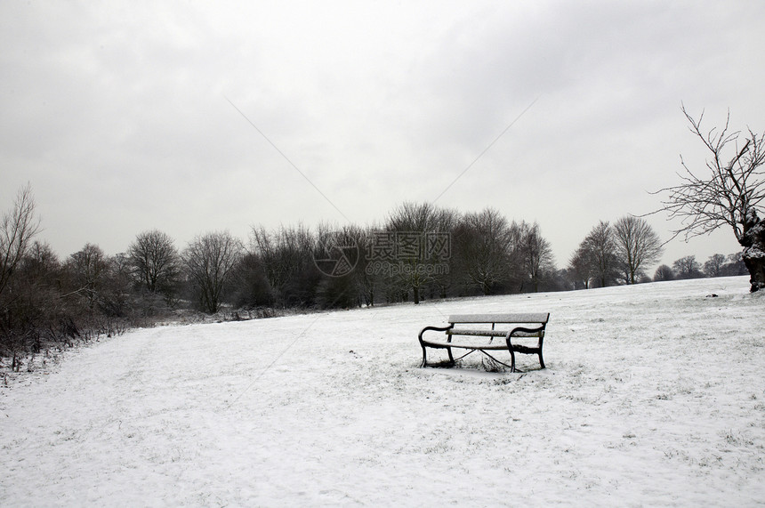 冬季公园国家天气绿地风景场地冻结长椅降雪小路天空图片