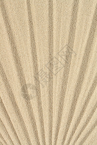 砂背景黄色沙漠宏观纹理金子背景图片